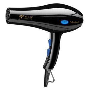 Salon Hair Dryer 5-in-1
